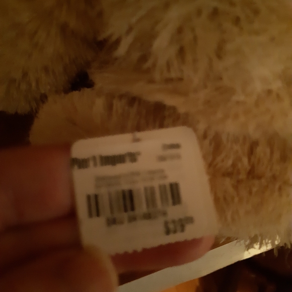 Polar bears - Picture 10 of 10